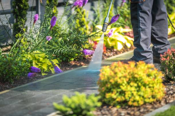 Professional Pressure Washing Services in Royalton, IL